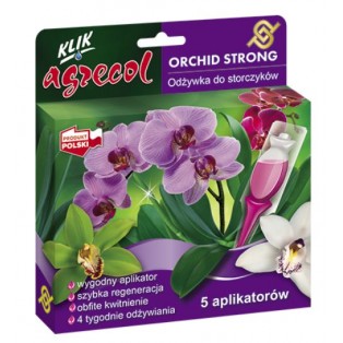 AG429 ORCHID STRONG DO...