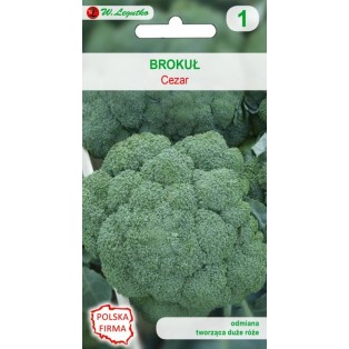 Brokuł.a Brassica oleracea...