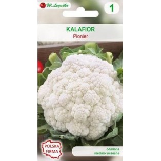 Kalafior.a /Brassica...