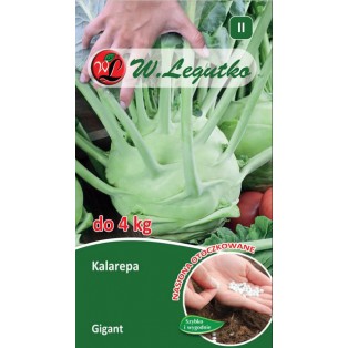 Otoczki - Kalarepa/Brassica...
