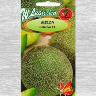 Melon/Cucumis melo/Seledyn...